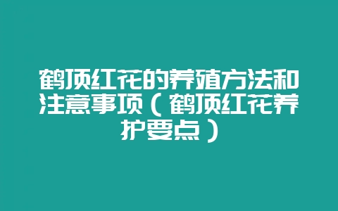 鹤顶红花的养殖方法和注意事项（鹤顶红花养护要点）-会东网