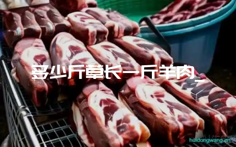 多少斤草长一斤羊肉_-会东网