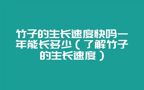 竹子的生长速度快吗一年能长多少(了解竹子的生长速度)-会东网
