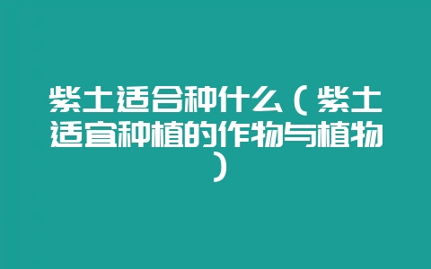 紫土适合种什么(紫土适宜种植的作物与植物)-会东网