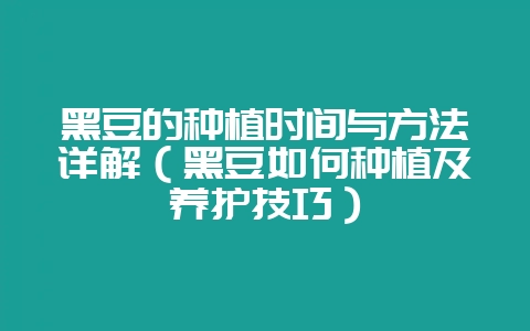 黑豆的种植时间与方法详解(黑豆如何种植及养护技巧)-会东网