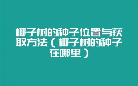 椰子树的种子位置与获取方法（椰子树的种子在哪里）-会东网