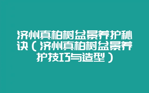 济州真柏树盆景养护秘诀(济州真柏树盆景养护技巧与造型)-会东网