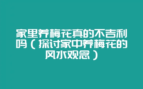 家里养梅花真的不吉利吗(探讨家中养梅花的风水观念)-会东网