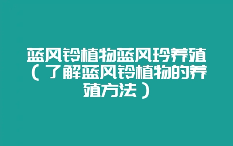 蓝风铃植物蓝风玲养殖(了解蓝风铃植物的养殖方法)-会东网