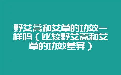 野艾蒿和艾草的功效一样吗（比较野艾蒿和艾草的功效差异）-会东网