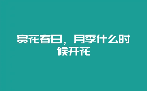 赏花春日，月季什么时候开花-会东网