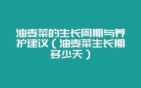 油麦菜的生长周期与养护建议（油麦菜生长期多少天）-会东网