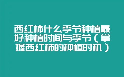 西红柿什么季节种植最好种植时间与季节(掌握西红柿的种植时机)-会东网