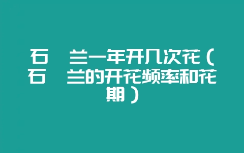 石斛兰一年开几次花（石斛兰的开花频率和花期）-会东网