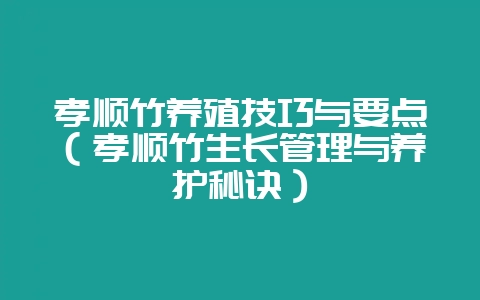 孝顺竹养殖技巧与要点（孝顺竹生长管理与养护秘诀）-会东网