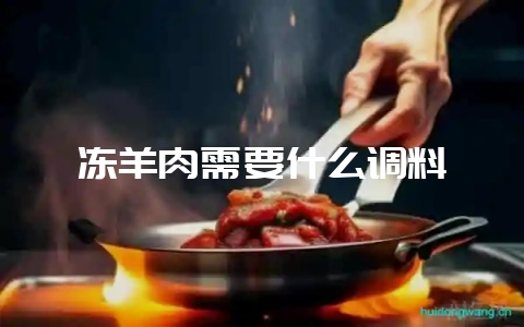 冻羊肉需要什么调料-会东网