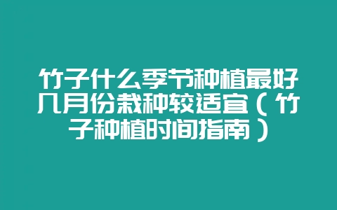 竹子什么季节种植最好几月份栽种较适宜（竹子种植时间指南）-会东网