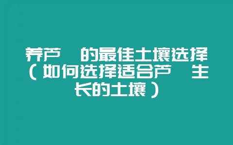 养芦荟的最佳土壤选择（如何选择适合芦荟生长的土壤）-会东网