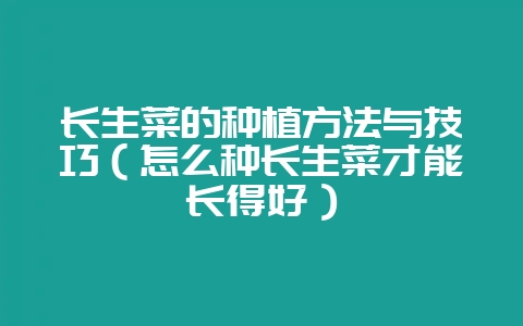 长生菜的种植方法与技巧（怎么种长生菜才能长得好）-会东网
