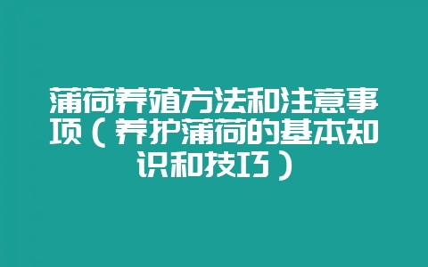蒲荷养殖方法和注意事项(养护蒲荷的基本知识和技巧)-会东网