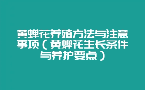 黄蝉花养殖方法与注意事项（黄蝉花生长条件与养护要点）-会东网