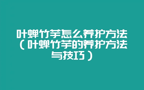 叶蝉竹芋怎么养护方法(叶蝉竹芋的养护方法与技巧)-会东网