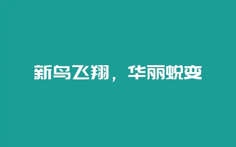 新鸟飞翔，华丽蜕变-会东网