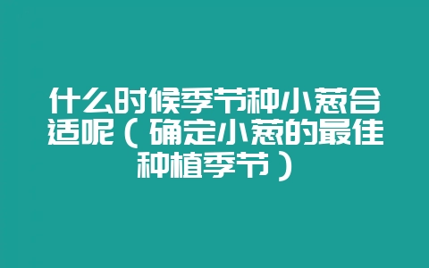 什么时候季节种小葱合适呢（确定小葱的最佳种植季节）-会东网