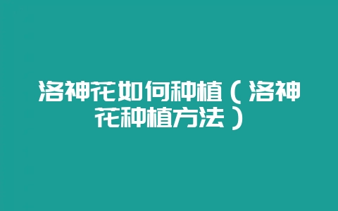 洛神花如何种植（洛神花种植方法）-会东网