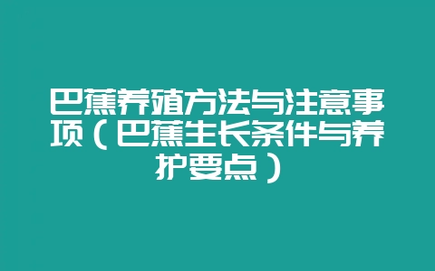 巴蕉养殖方法与注意事项（巴蕉生长条件与养护要点）-会东网