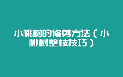 小桃树的修剪方法（小桃树整枝技巧）-会东网