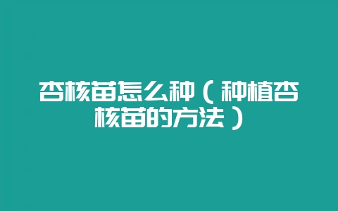 杏核苗怎么种（种植杏核苗的方法）-会东网