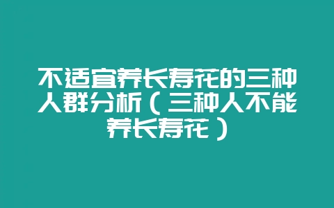 不适宜养长寿花的三种人群分析（三种人不能养长寿花）-会东网