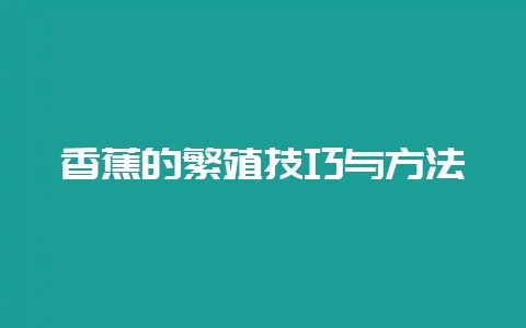 香蕉的繁殖技巧与方法-会东网