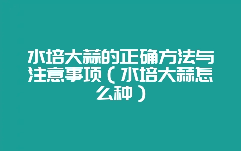 水培大蒜的正确方法与注意事项(水培大蒜怎么种)-会东网