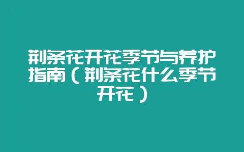 荆条花开花季节与养护指南(荆条花什么季节开花)-会东网