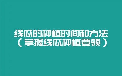 线瓜的种植时间和方法(掌握线瓜种植要领)-会东网