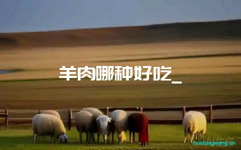 羊肉哪种好吃_-会东网