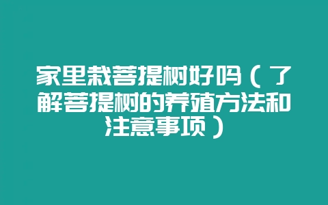家里栽菩提树好吗（了解菩提树的养殖方法和注意事项）-会东网