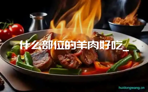 什么部位的羊肉好吃_-会东网