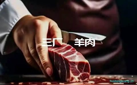 三厂烩羊肉-会东网