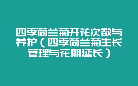 四季荷兰菊开花次数与养护(四季荷兰菊生长管理与花期延长)插图 四季荷兰菊开花次数与养护(四季荷兰菊生长管理与花期延长)插图
