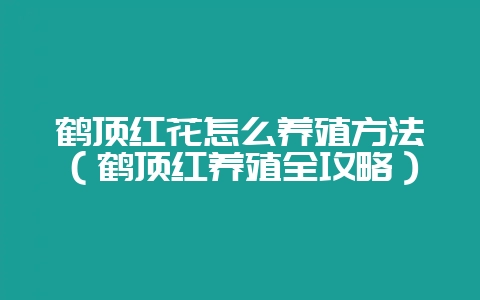 鹤顶红花怎么养殖方法(鹤顶红养殖全攻略)-会东网