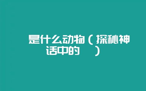 鲲是什么动物(探秘神话中的鲲)-会东网