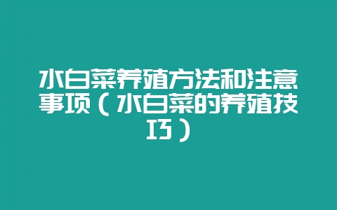 水白菜养殖方法和注意事项（水白菜的养殖技巧）-会东网