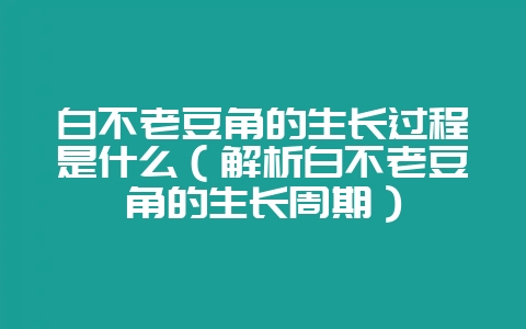 白不老豆角的生长过程是什么（解析白不老豆角的生长周期）-会东网
