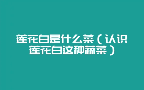 莲花白是什么菜(认识莲花白这种蔬菜)-会东网