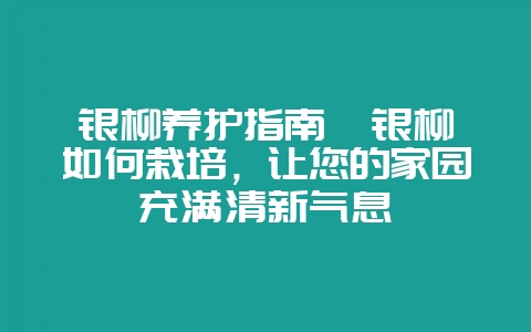 银柳养护指南  银柳如何栽培，让您的家园充满清新气息-会东网