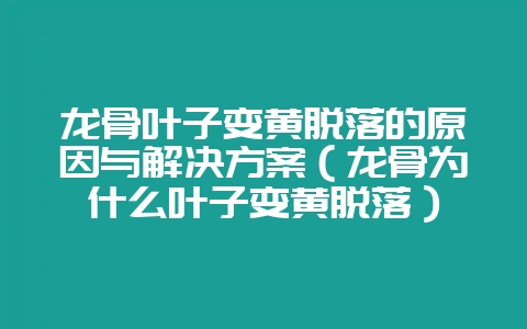 龙骨叶子变黄脱落的原因与解决方案(龙骨为什么叶子变黄脱落)-会东网