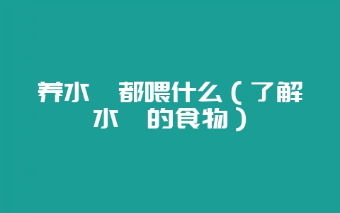 养水蛭都喂什么（了解水蛭的食物）-会东网