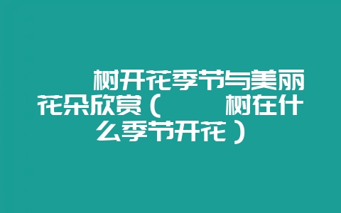 枇杷树开花季节与美丽花朵欣赏(枇杷树在什么季节开花)插图 枇杷树开花季节与美丽花朵欣赏(枇杷树在什么季节开花)插图