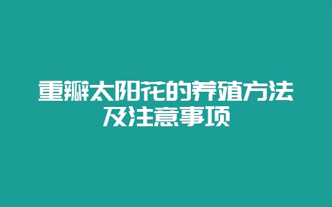 重瓣太阳花的养殖方法及注意事项-会东网