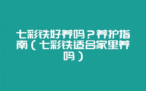 七彩铁好养吗?养护指南(七彩铁适合家里养吗)-会东网