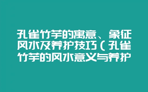 孔雀竹芋的寓意、象征风水及养护技巧（孔雀竹芋的风水意义与养护-会东网